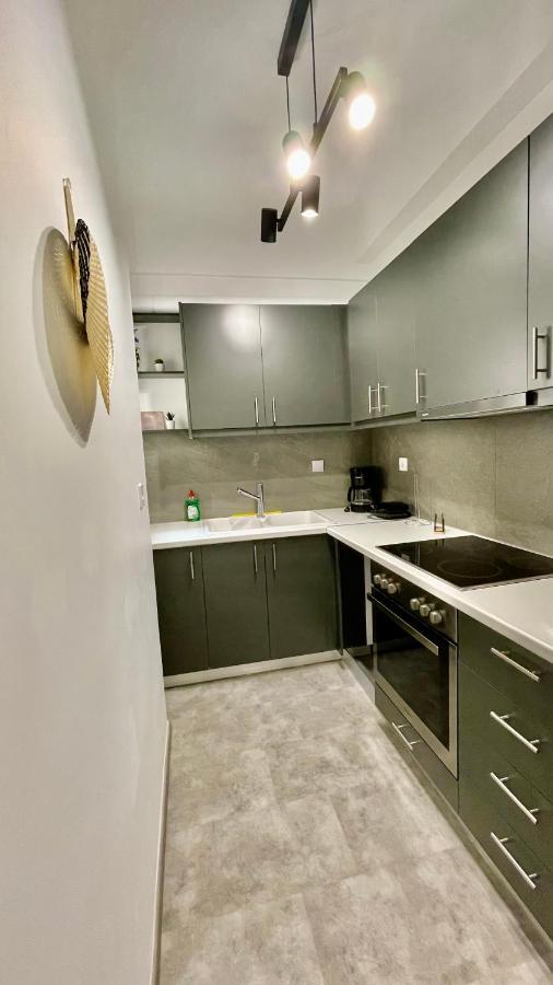 Gorgeous Renovated Apt. Close To Metro And Cultural Sites! Ateny Zewnętrze zdjęcie
